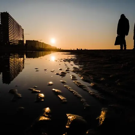 Apartment On Seafront Near Casino *