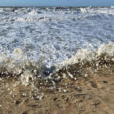On Seafront Near Casino Ostende