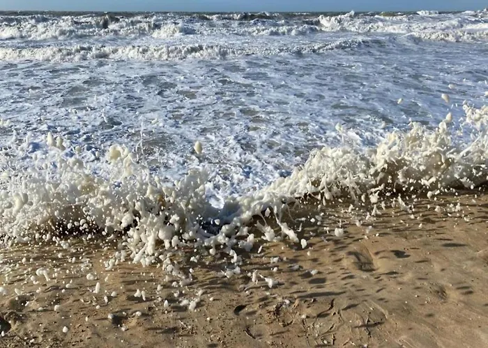 On Seafront Near Casino 奥斯滕德